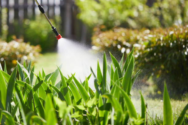 Tamper-Resistant Bait Stations for Rodents in Vevay