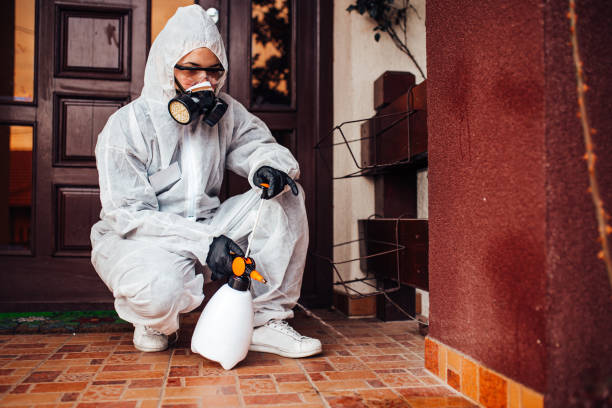 Attic and Crawl Space Rodent Treatment in Vevay
