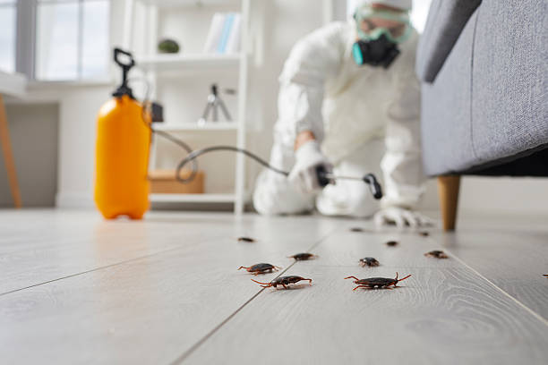 Commercial Rodent Management in Vevay